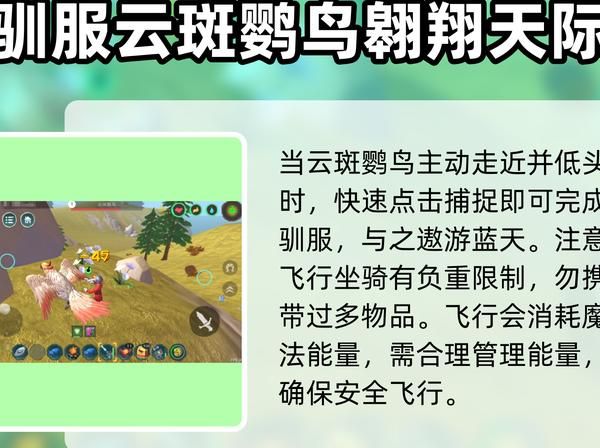 创造与魔法哪里出精灵鱼几率最大